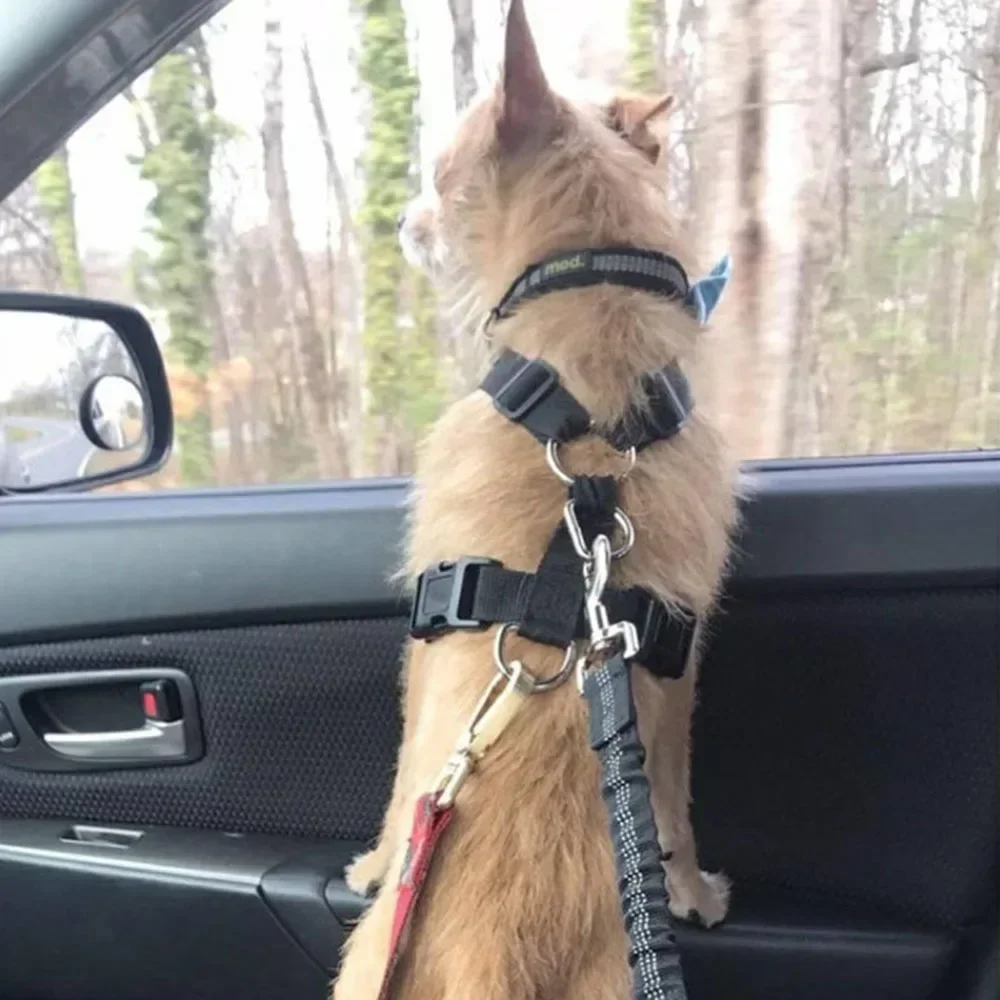 Dog Leash Harness Dogs Dog Accessories Supplies Pet Dog Car Seat Belt Retractable Buffer Elastic Reflective Safety Traction Rope - Image 6